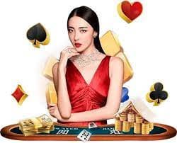 559bet net 559bet net