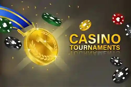 559bet net 559bet net
