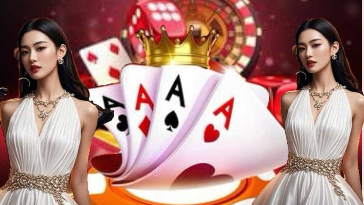559bet net 559bet net