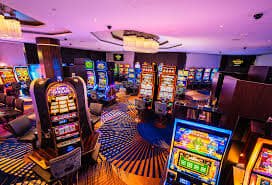 559bet net
